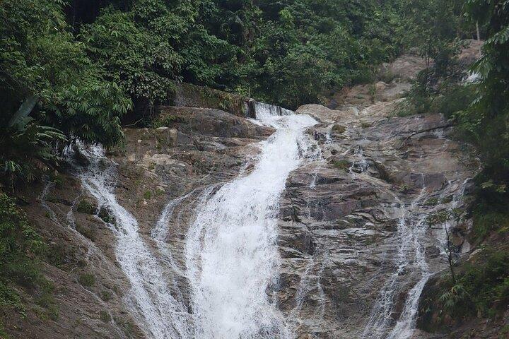 Cameron Highland Full Day Tour from KL City Private Tour