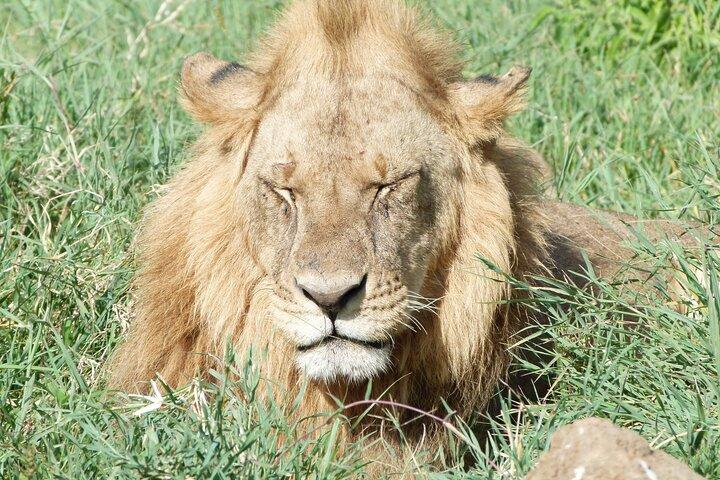 3 Days Meru National Park Experience