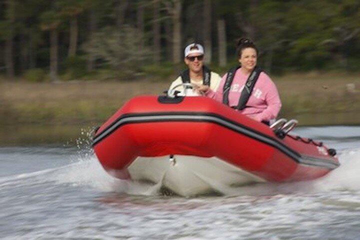 Hilton Head Guided Dolphin Watching & Sightseeing Tour via Mini Boat