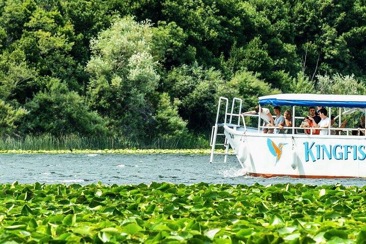 Skadar Lake & Crnojevića River: Swimming, Snacks & Wine