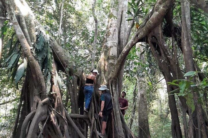 amazonian full exploration 4 days 3 nights 360 usd