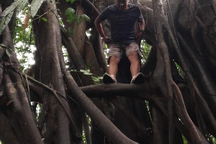 amazonian full exploration 4 days 3 nights 360 usd