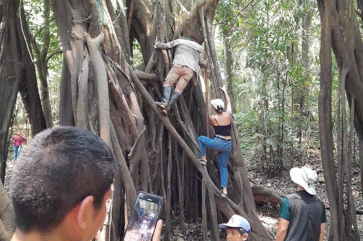 amazonian full exploration 4 days 3 nights 360 usd