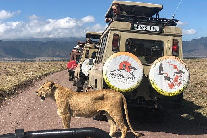 7 Days Serengeti Migration Calving Season Safari & Hot Springs