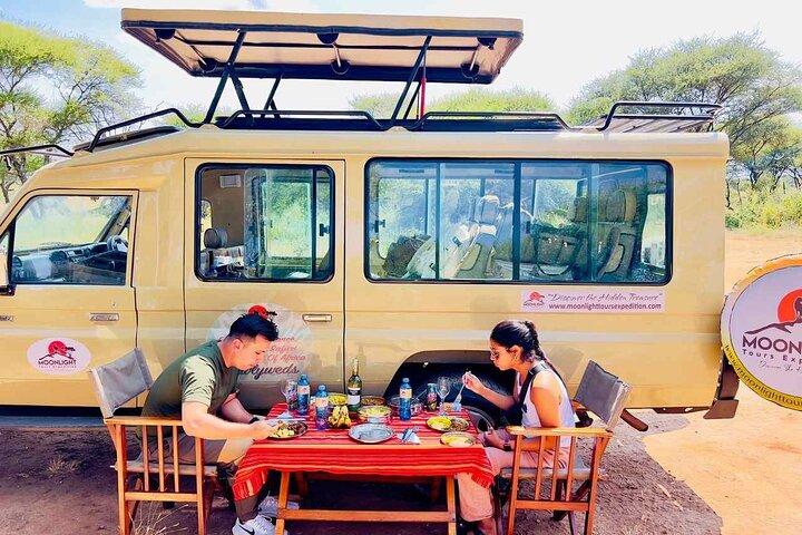 7 Days Serengeti Migration Calving Season Safari & Hot Springs
