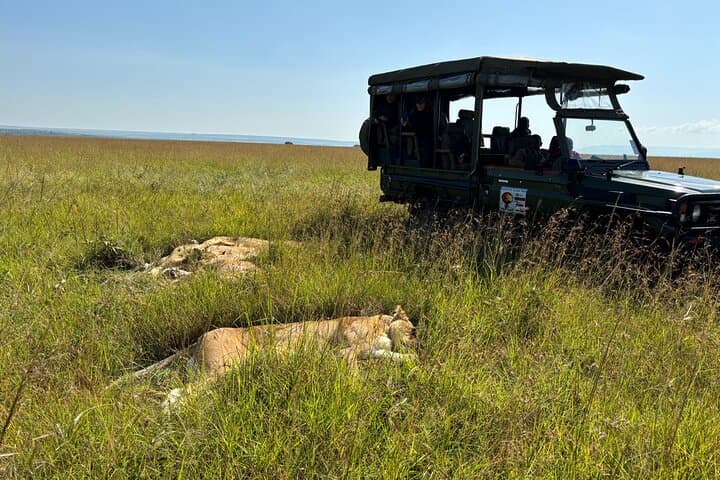 4 Days Group Joining Maasai Mara & Lake Nakuru Parks with Jeep