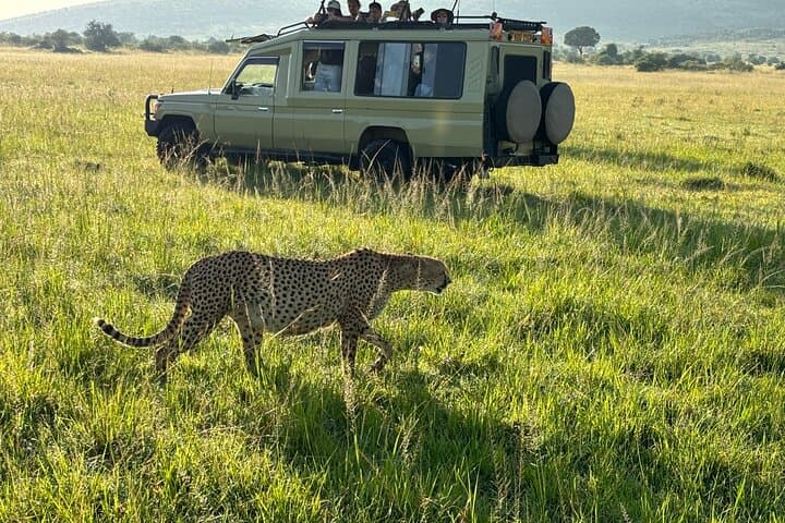 4 Days Group Joining Maasai Mara & Lake Nakuru Parks with Jeep
