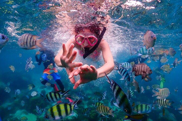 Nemo Island and Big Buddha Mountain Snorkeling from Bangkok