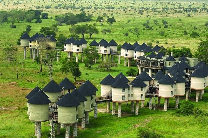 3 Days Tsavo East Tour and Saltlick Safari From Nairobi
