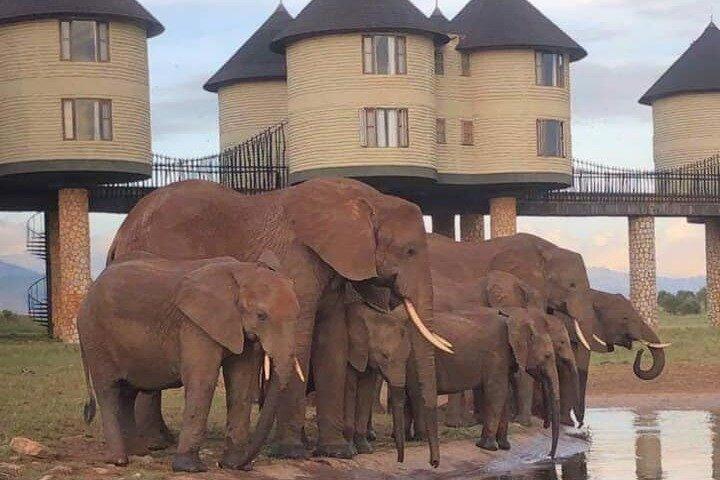 3 Days Tsavo East Tour and Saltlick Safari From Nairobi
