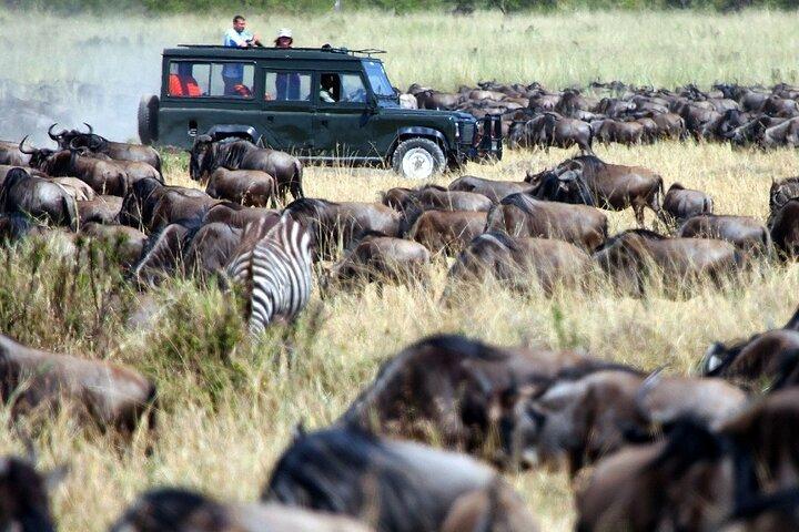 5 Days Amboseli and Masai Mara Luxury Kenya Flying Safari