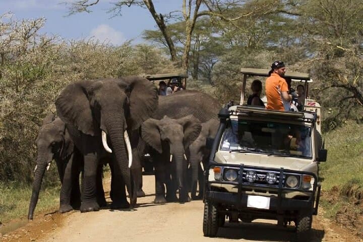 Amboseli National Park Guided Full Day Tour