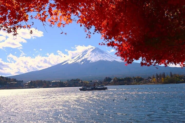 Mt.Fuji Private Day Trip from Tokyo with Driver & Top Photo Spots