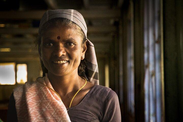 Ella Day Tour with Tea Factory All Inclusive Tour from Hambantota