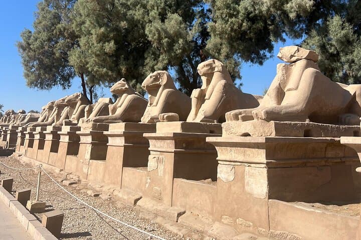 Luxor Sunrise Hot Air Balloon & Valley of the Kings Private Tour