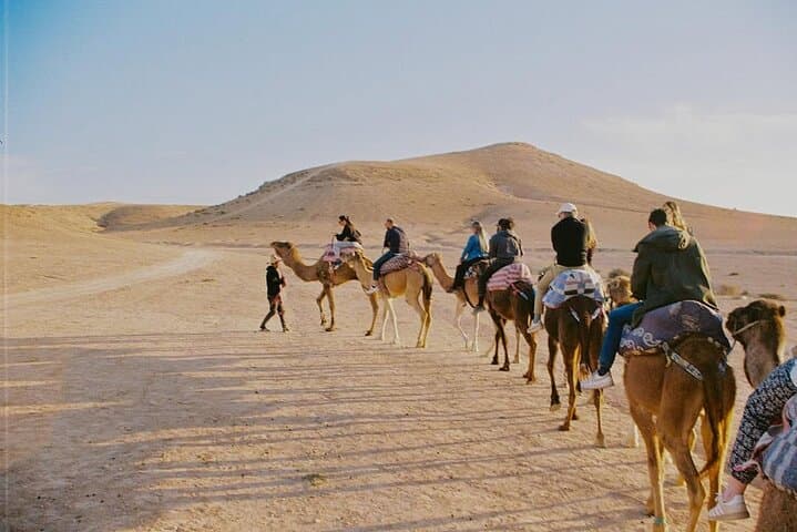 Marrakech: Camel Ride, Sunset & Dinner Show In Agafay Desert