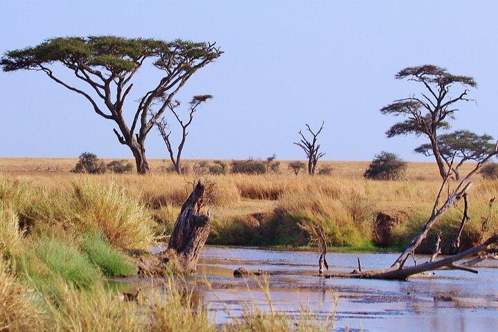 7 Days Serengeti Wildebeest Migration Crossing