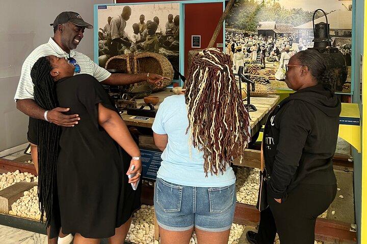 Private Montego Bay Customized Tour with Pickup and Guide