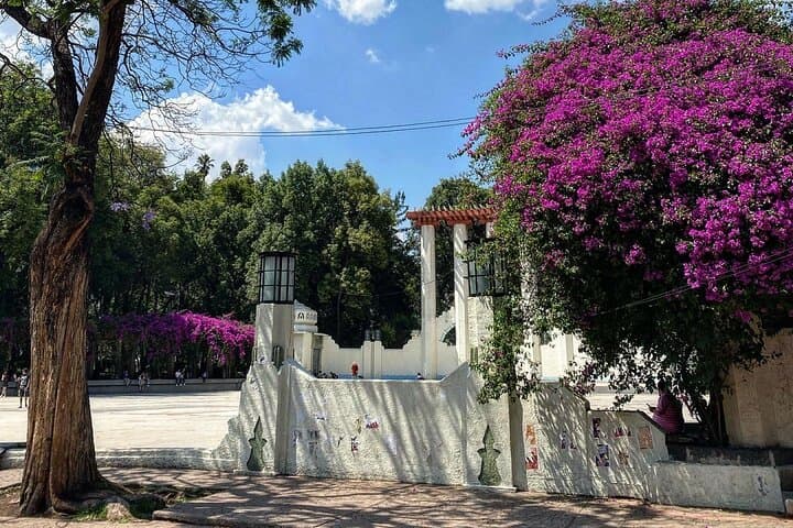 Epic Condesa and Roma Norte Walking Tour