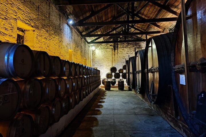 Douro Valley Pinhao Quinta da Foz Tour and Tasting 5 Wines