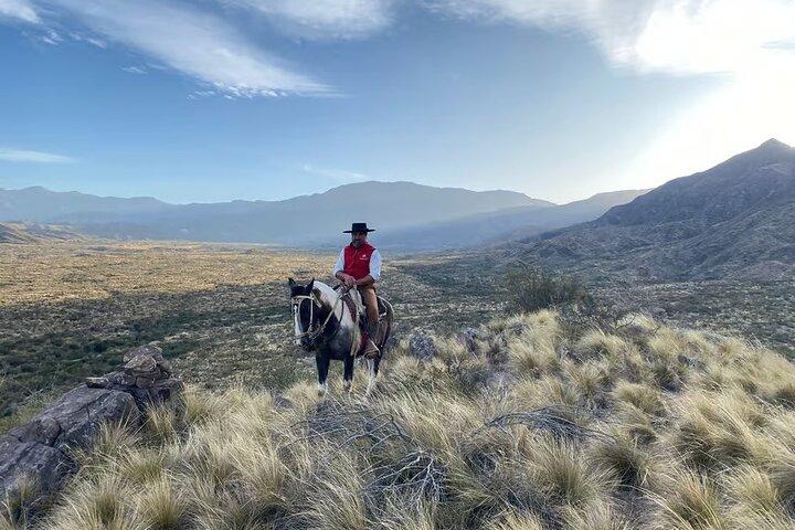 Horseback riding at sunset