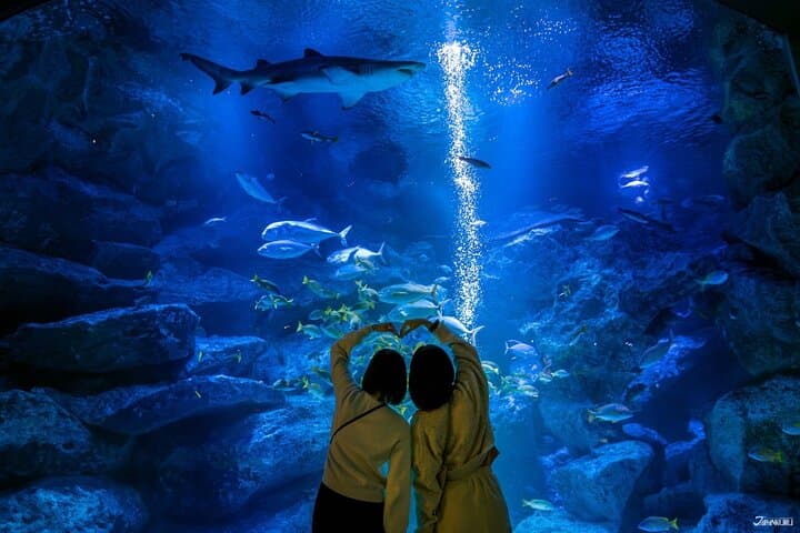 Sumida Aquarium Ticket Tokyo