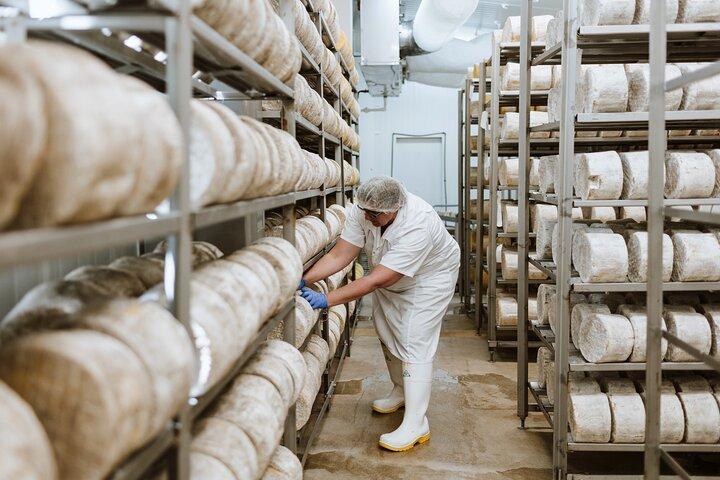 Whitestone Cheese Co Factory: Guided Tour with Cheese & Wine