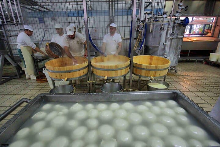 Pastum and Buffalo Mozzarella Drive