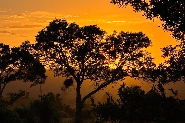 Kruger National Park Full Day Safari