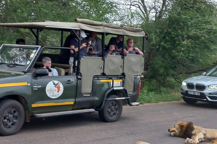Kruger National Park Full Day Safari