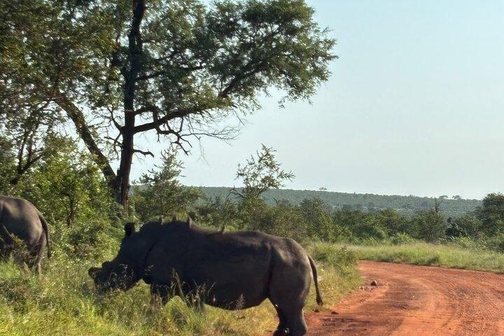 Kruger National Park Full Day Safari