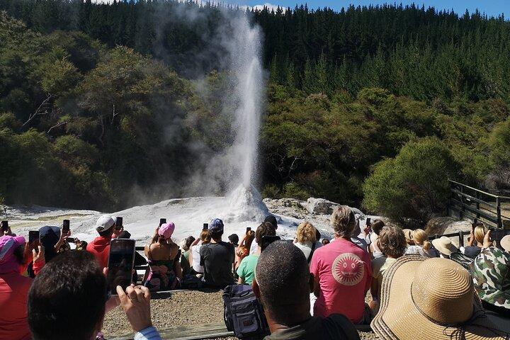 Rotorua to Wai-o-Tapu Thermal Wonderland Shuttle