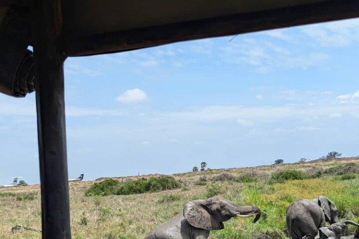 Mikumi National Park Day Trip by Train From Dar Es Salaam