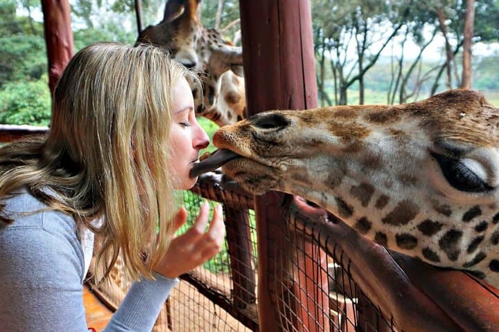 6Days Giraffe Center Lake Naivasha Hells Gate and Masai Mara Tour