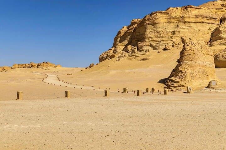 Private Tour to Wadi El Rayan Wadi Al Hitan & Fayoum Waterfalls