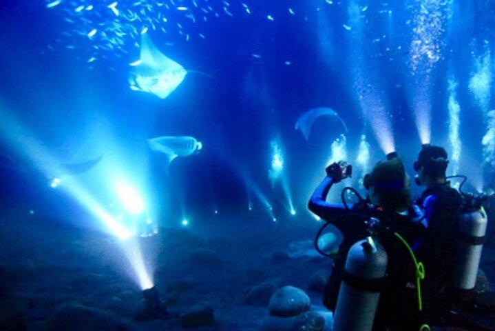 Manta Ray Night Snorkel and Dive