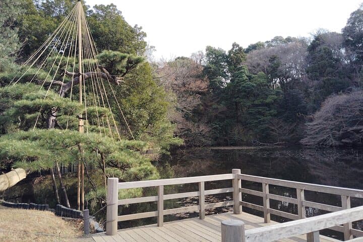 Tokyo: Meiji Jingu Shrine & Inner Garden Private Tour (2h)