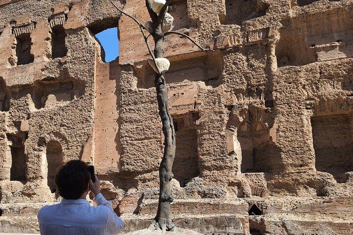 Caracalla Baths Private Guided Tour Experience