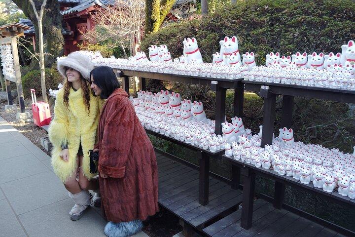 Gotokuji Temple Walking Tour with Numerous Cat Statues