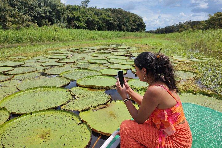 Half Day Amazon River Tour - Fishing, Sunset and Night Tour