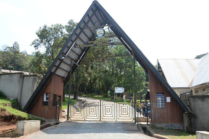 Kilimanjaro Full Day Trek Through Machame Route