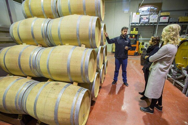 Alicante Countryside Wine Small Group Tour with 4 Tastings
