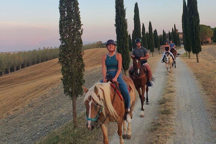Horseback Riding in the Tuscan Vineyards