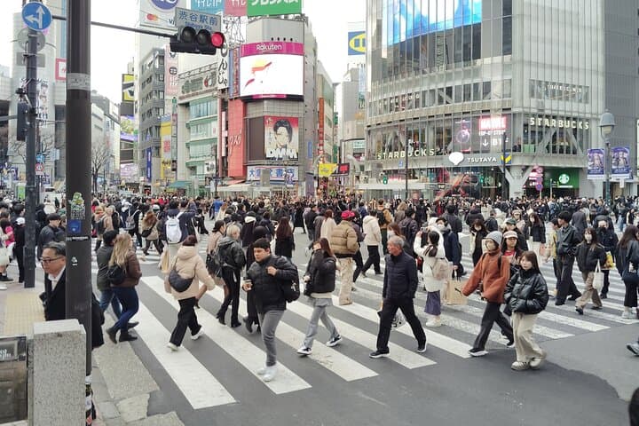Tokyo: Shinjuku & Shibuya Walking Tour – City Highlights