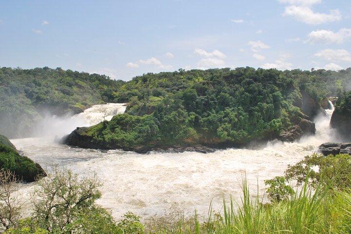 3 Days Best of Uganda Big Five Safari Tour in Murchison Falls
