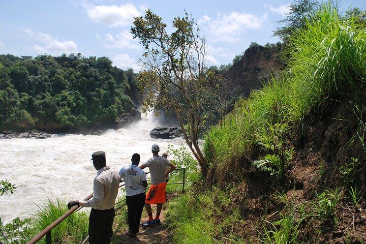 3 Days Best of Uganda Big Five Safari Tour in Murchison Falls