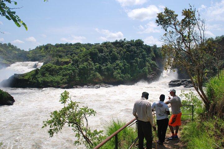 3 Days Best of Uganda Big Five Safari Tour in Murchison Falls