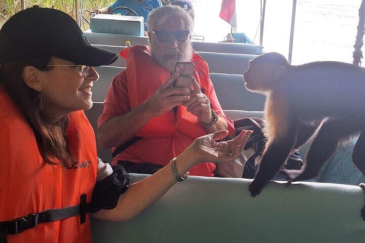 Monkey Island: The Wild Life Safari at Gatun Lake