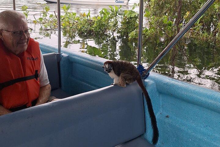Monkey Island: The Wild Life Safari at Gatun Lake