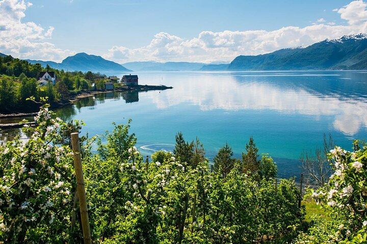 Guided tour - Hardangerfjord, Voss Gondola & 3 Great Waterfalls